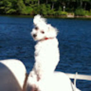 Meet your Posher, Rebekah